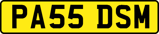 PA55DSM