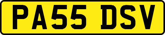 PA55DSV