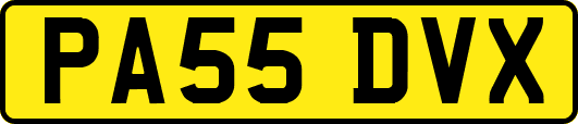 PA55DVX