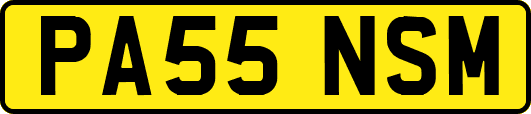 PA55NSM