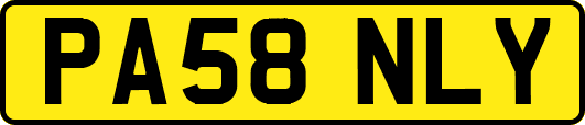 PA58NLY