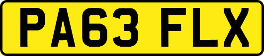 PA63FLX