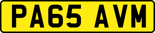 PA65AVM