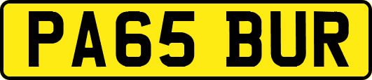 PA65BUR