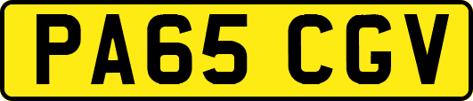 PA65CGV