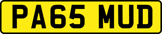 PA65MUD