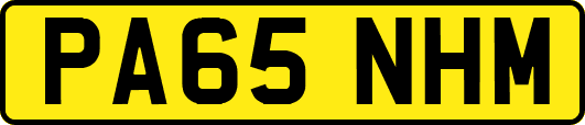 PA65NHM