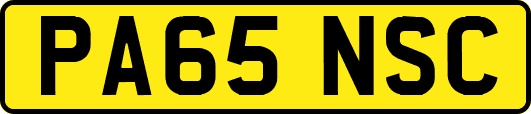 PA65NSC
