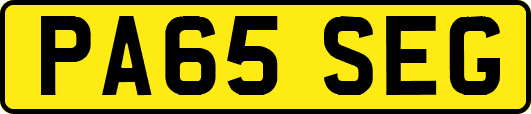 PA65SEG