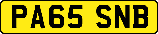 PA65SNB