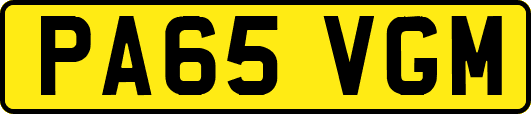PA65VGM