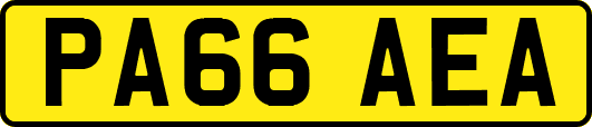 PA66AEA