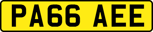 PA66AEE