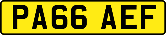 PA66AEF