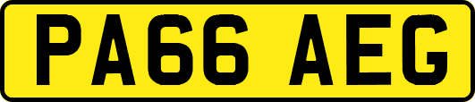 PA66AEG