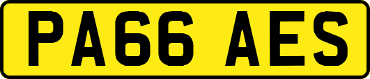 PA66AES