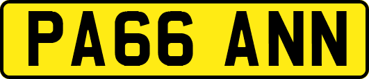 PA66ANN