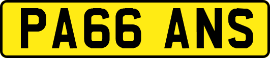 PA66ANS
