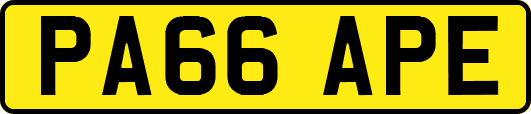 PA66APE