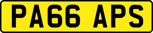 PA66APS
