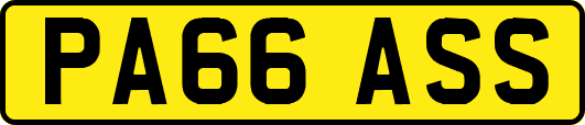 PA66ASS