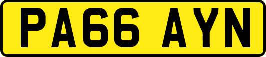 PA66AYN