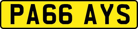 PA66AYS
