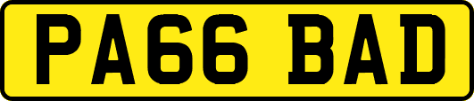 PA66BAD