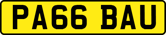 PA66BAU
