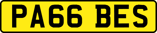 PA66BES