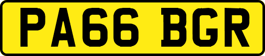 PA66BGR