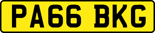 PA66BKG