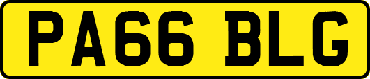 PA66BLG
