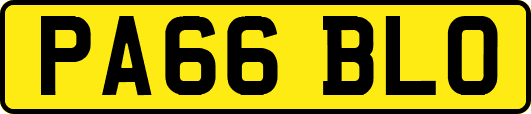 PA66BLO