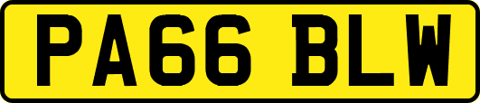 PA66BLW