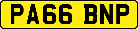 PA66BNP