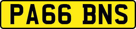 PA66BNS