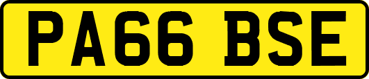 PA66BSE
