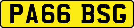 PA66BSG