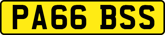 PA66BSS