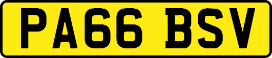 PA66BSV