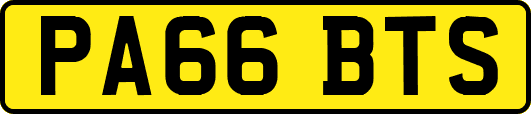 PA66BTS
