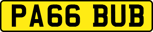 PA66BUB