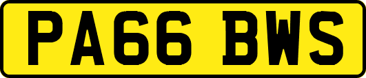 PA66BWS