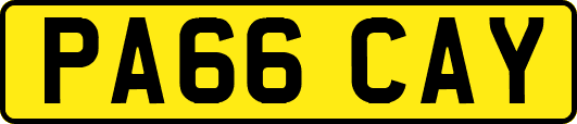 PA66CAY