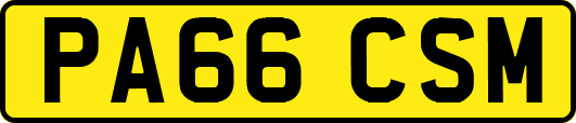 PA66CSM