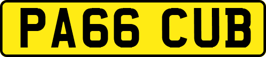 PA66CUB