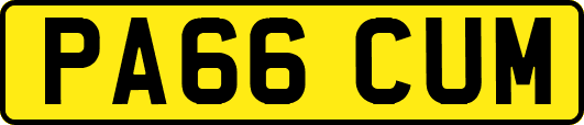 PA66CUM