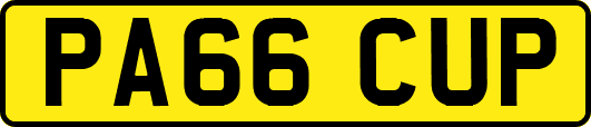 PA66CUP