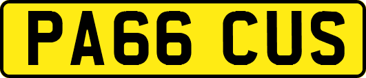 PA66CUS